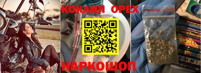 spice Кузнецк
