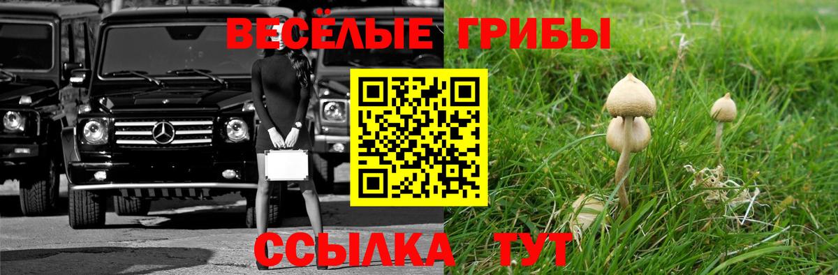 Псилоцибиновые грибы мицелий Ивантеевка