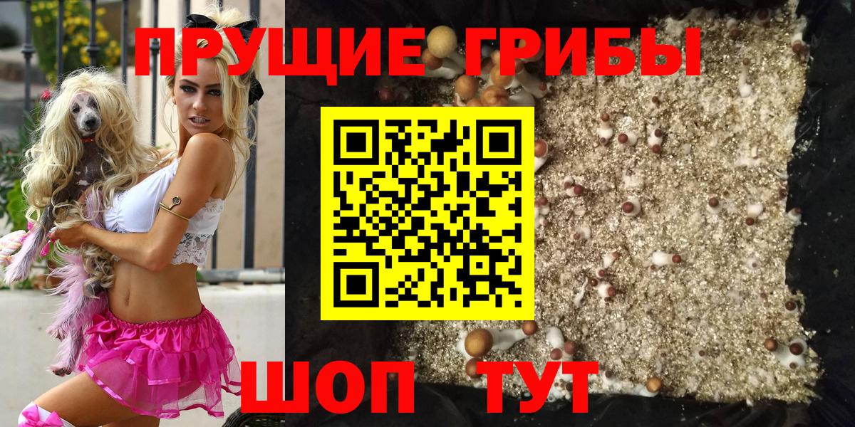 Псилоцибиновые грибы ЛСД  Вход с VPN  Ивантеевка  Галлюциногенные грибы Magic Shrooms 
